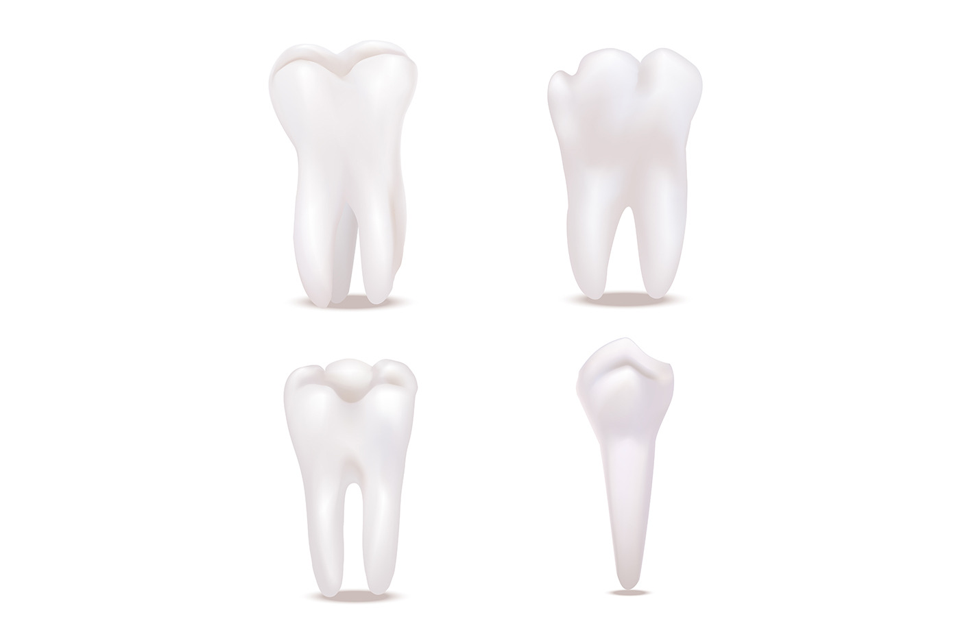 3d White Healthy Teeth Set. Vector, an Object Graphic by Bigmouse_art