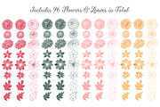 Vector & Clipart Dahlia Flowers, an Illustration by Amanda Ilkov (Thumbnail 4 of 4)