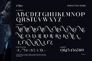 Kamilo Elegant Serif Font, a Serif Font by Perfectype (Thumbnail 8 of 8)