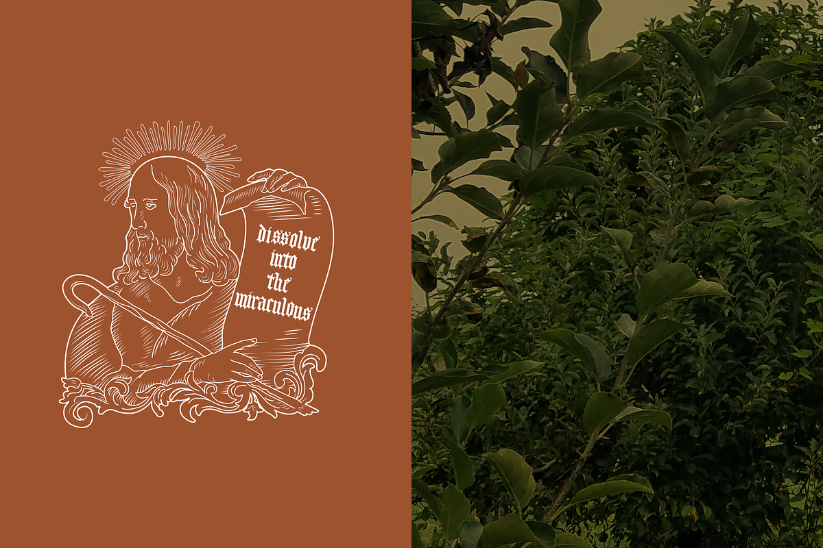 Blackletter 1905 Rustic Vintage Font preview 2