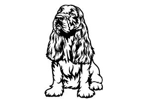 English Cocker Spaniel Dog Breed -, an Animal Illustration by Digital-Clipart
