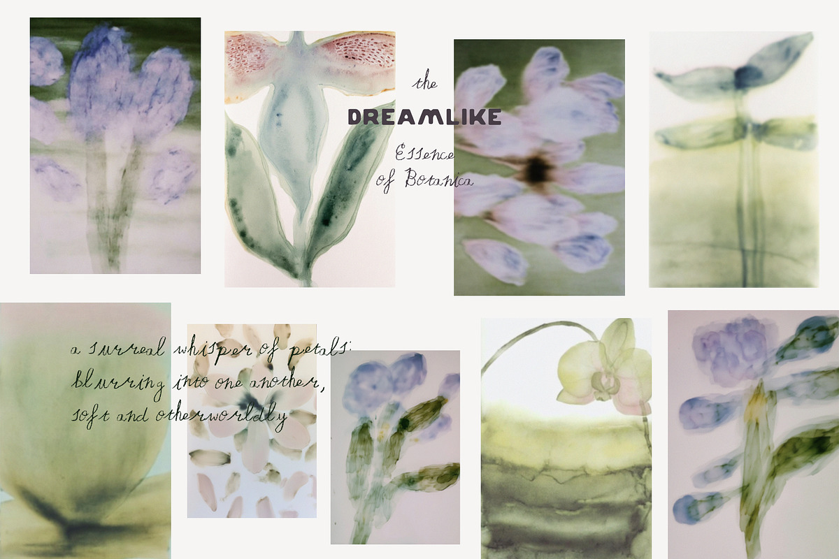 Abstract Blurry Floral Backgrounds, a Background Graphic by Lana Elanor (Photo 7 of 12)
