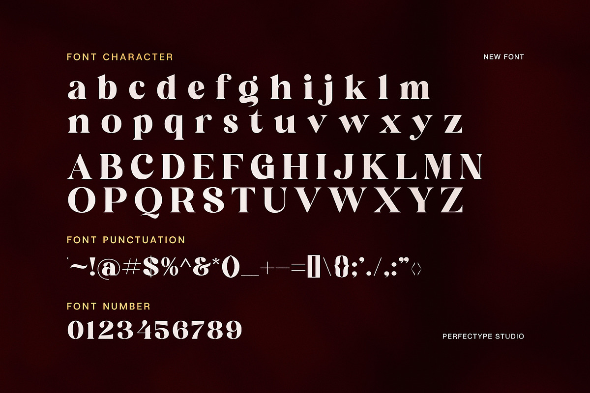 Cringe Elegant Serif Font, a Serif Font by Perfectype (Photo 7 of 8)