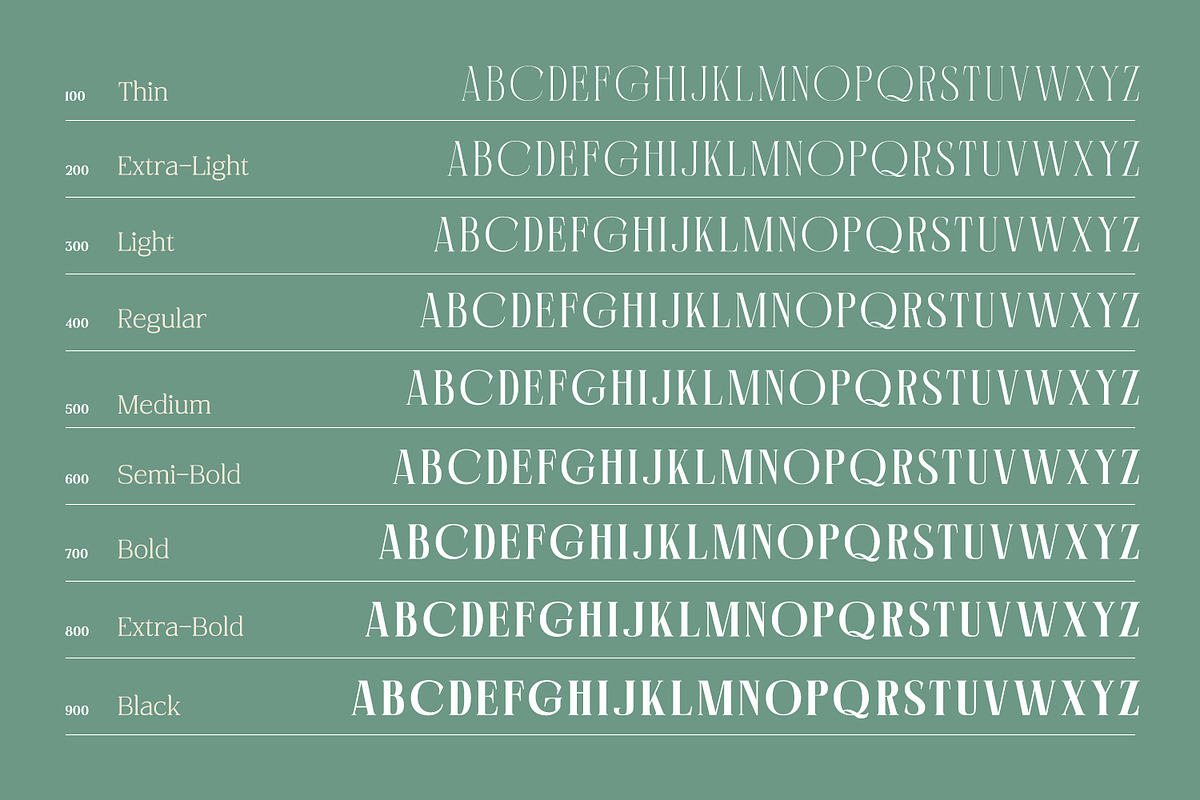 Recolors, a Serif Font by Nathatype (Photo 7 of 15)