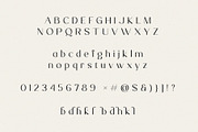 Fondest, a Sans Serif Font by Prioritype Co (Thumbnail 9 of 10)
