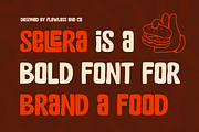 Selera - Playful Display Font, a Sans Serif Font by Flawless And Co (Thumbnail 3 of 10)