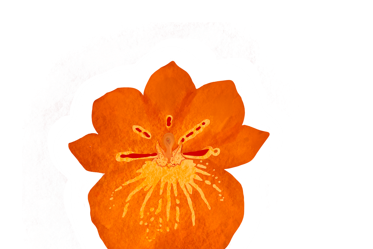 Autumn Aesthetic Sticker Pack, a Seasonal Illustration by Noorist (Photo 24 of 68)