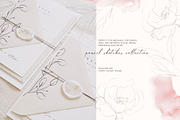 POPPY SUNSET pencil floral sketches, a Decorative Illustration by Yuliia Lashevska (Thumbnail 2 of 10)