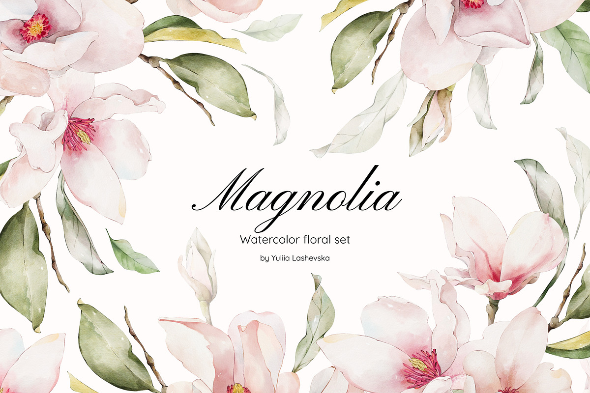 Magnolia watercolor floral set, a Decorative Illustration by Yuliia Lashevska (Photo 1 of 13)