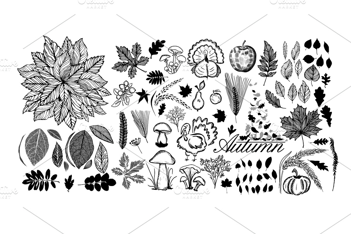 Set of autumn monochrome elements, an Object Illustration by Nenahliadava Design