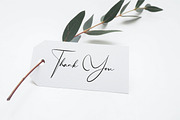 Mangollia - Signature Font, a Script Font by NuType (Thumbnail 15 of 15)