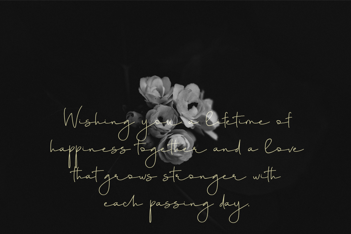 Shears Classy Font preview 4