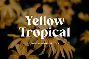 Wainscoted Modern Serif Font, a Serif Font by UICreative (Thumbnail 5 of 12)