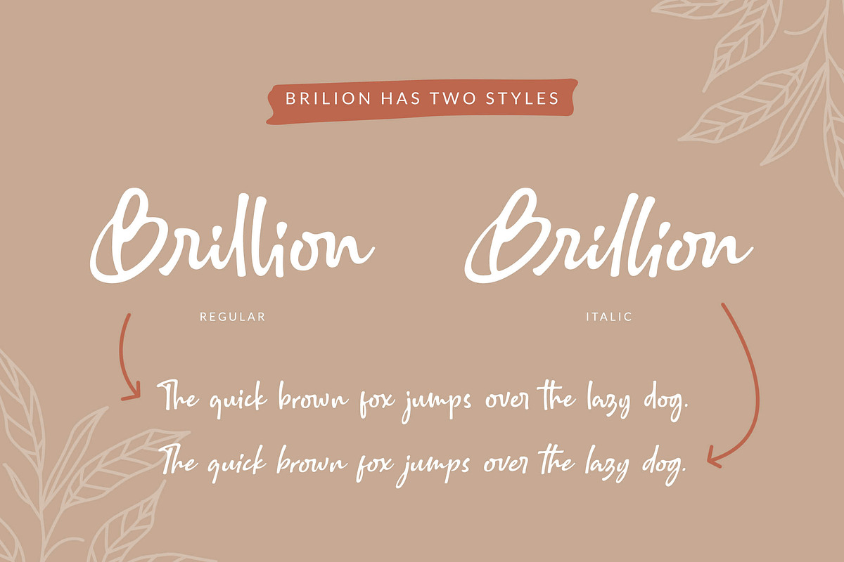 Brillion / Handwritten Script Font, a Script Font by Subectype Studio