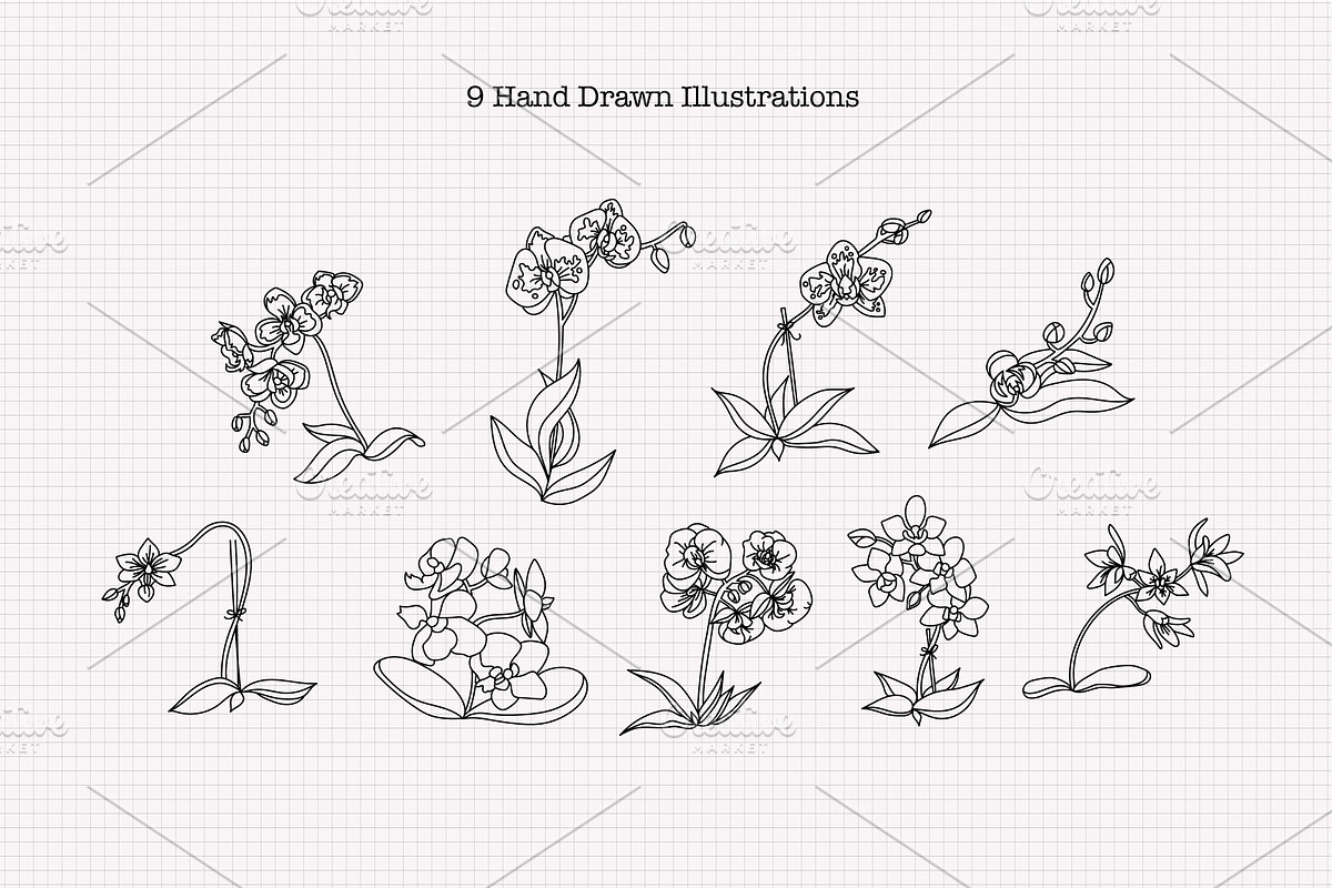 Inked Orchid Illustration Collection, an Illustration by Hannah Eliza Studio (Photo 2 of 4)