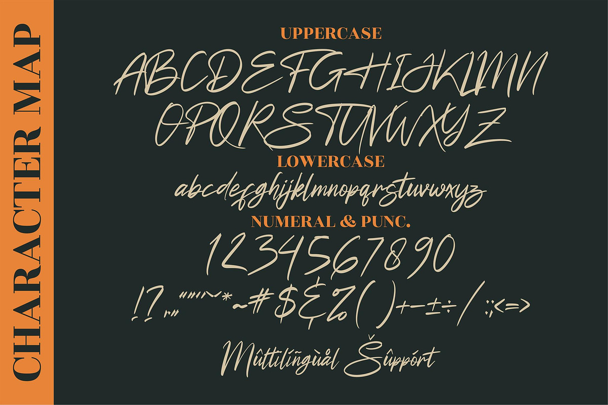 Futuristic Signature Signature LS, a Script Font by GranzCreative (Photo 2 of 12)