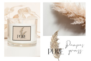 Pampas Grass. Boho Dry Herbs.