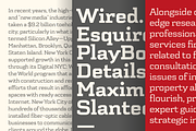 Schwager, a Slab Serif Font by Latinotype (Thumbnail 3 of 5)