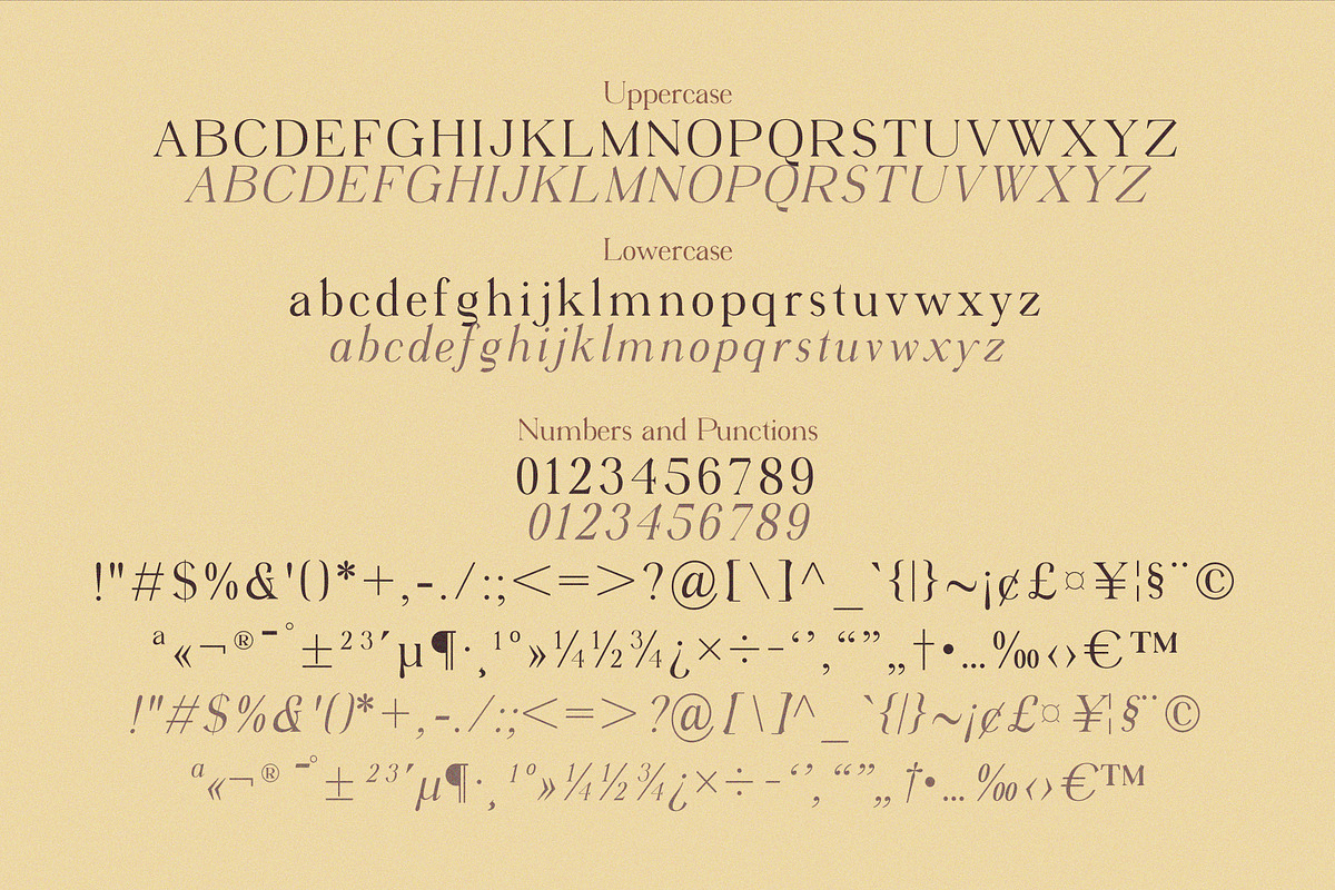 Virendra Pro - Modern Serif Font, a Serif Font by Hakara Type (Photo 8 of 15)
