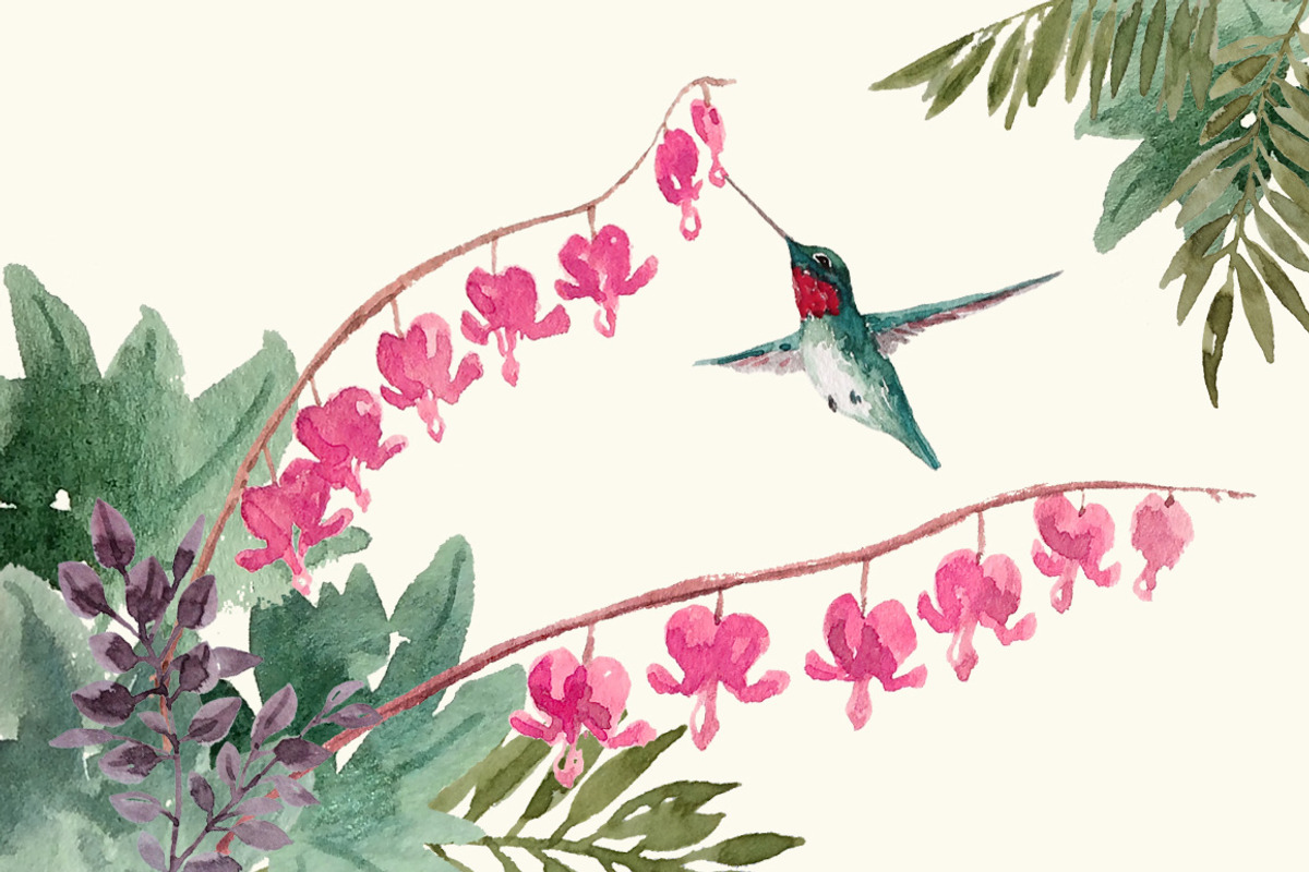 Hummingbird Gardens - Watercolor Set, an Illustration by amyxbao (Photo 5 of 8)