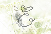 Efelious - floral monogram set, an Object Graphic by Euonia Meraki (Thumbnail 2 of 12)