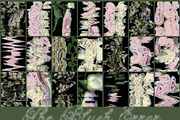 The Blush Error - Floral Backgrounds, a Wallpaper Graphic by Purple (Thumbnail 8 of 12)
