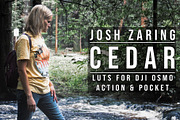 DJI OSMO | CEDAR LUT PACK, a Layer Style Add-On by Josh Zaring Studios (Thumbnail 1 of 6)