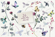 Watercolor set flowers of clover, an Illustration by RushkinaAntonina (Thumbnail 6 of 7)