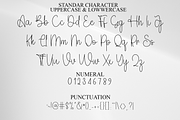 Beauty Handwriting, a Handwritten Font by FreshTypeINK (Thumbnail 2 of 8)
