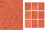Duotone Foliage, a Texture Graphic by maggiereuter (Thumbnail 2 of 6)