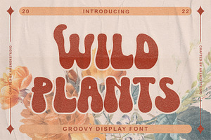 Wild Plants - Groovy Retro Display