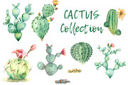 Succulent and Cactus collection, an Illustration by IvanFet (Thumbnail 3 of 10)