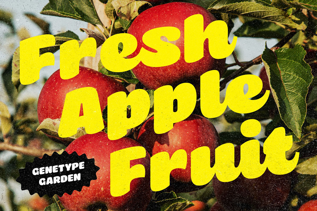 Briska - Script & Regular, a Script Font by Genetype (Photo 4 of 9)