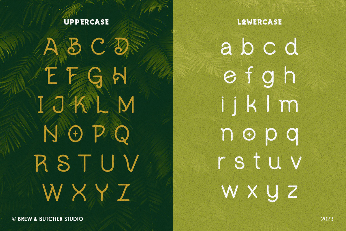 Wallder | Display Typeface, a Sans Serif Font by Brew & Butcher Studio (Photo 2 of 10)