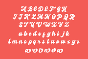 Xavier Mourin Script, a Script Font by Authentic Studio (Thumbnail 6 of 7)