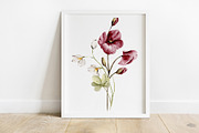 Wild flowers, poppies watercolor set, a Texture Illustration by Larisa Maslova (Thumbnail 3 of 12)