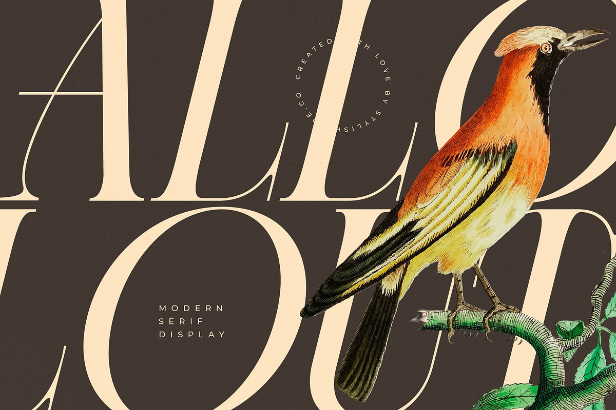 Caroowa Modern Serif Display, a Serif Font by timelesstype.co (Photo 12 of 20)