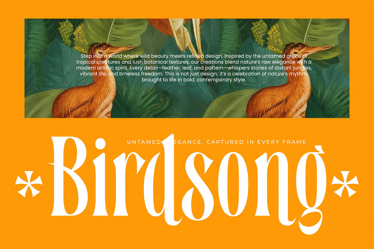 Bastfeng Skylight Modern Serif, a Serif Font by timelesstype.co (Photo 15 of 20)
