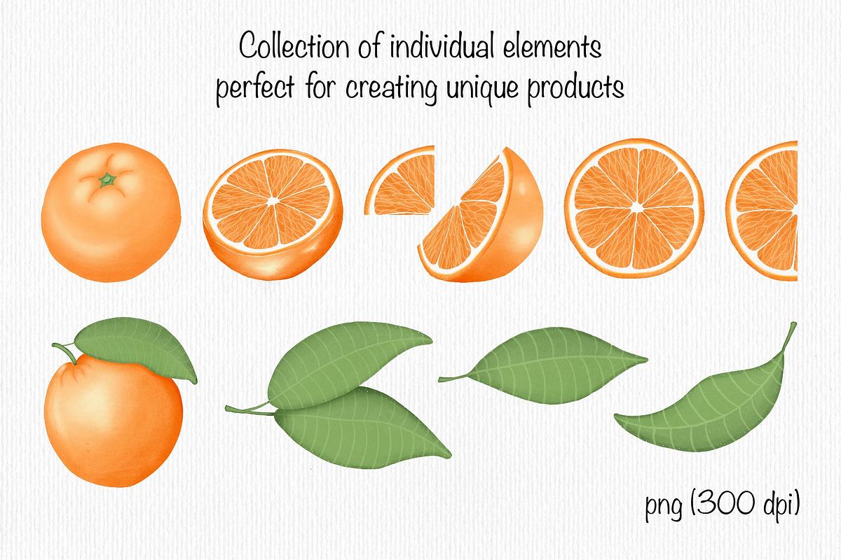 Orange, a Decorative Illustration by Iryna Mel (Photo 3 of 8)