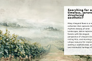 30+ Misty Vineyard Rows Bundle, a Decorative Illustration by Virgo Studio (Thumbnail 2 of 6)