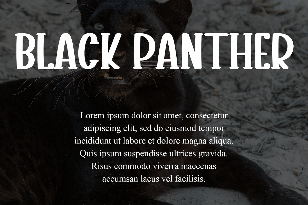 Simple Alphabet, a Sans Serif Font by FreshTypeINK (Photo 3 of 8)