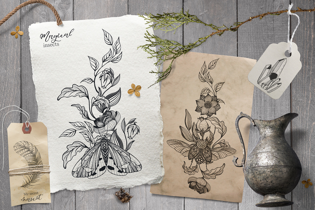 Magic vector collection, an Animal Illustration by Molly art