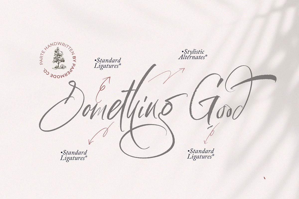 Parte Handwritten, a Script Font by Papermode Co. (Photo 3 of 10)