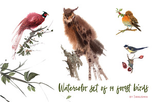 Watercolor forest birds
