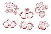 Strawberry Vector Collection, a Food Illustration by Lubov Illustrations Shop (Thumbnail 3 of 7)