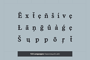Castemire - Serif Typeface, a Serif Font by alpercakici (Thumbnail 3 of 13)