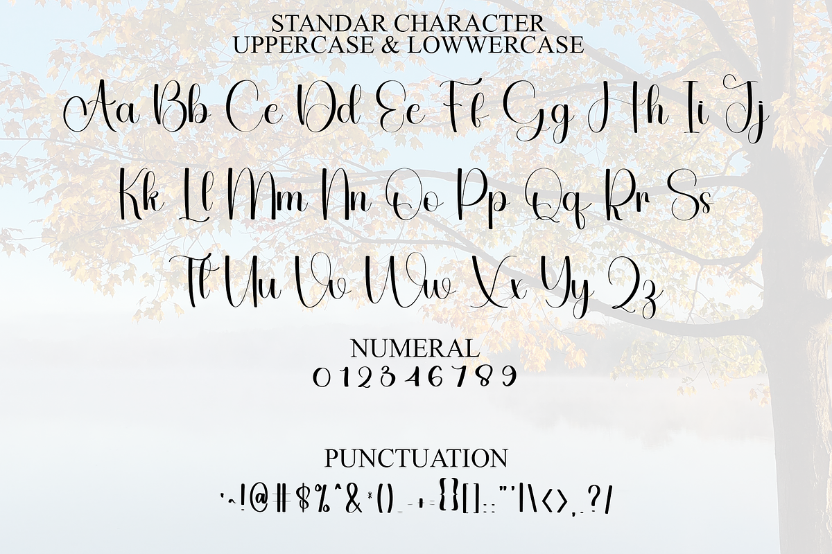 Autumn, a Handwritten Font by InermediaSTUDIO (Photo 7 of 8)