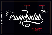 Pumpkinlab | Casual Handwritten Font, a Script Font by Omaikraf Studio (Thumbnail 2 of 8)