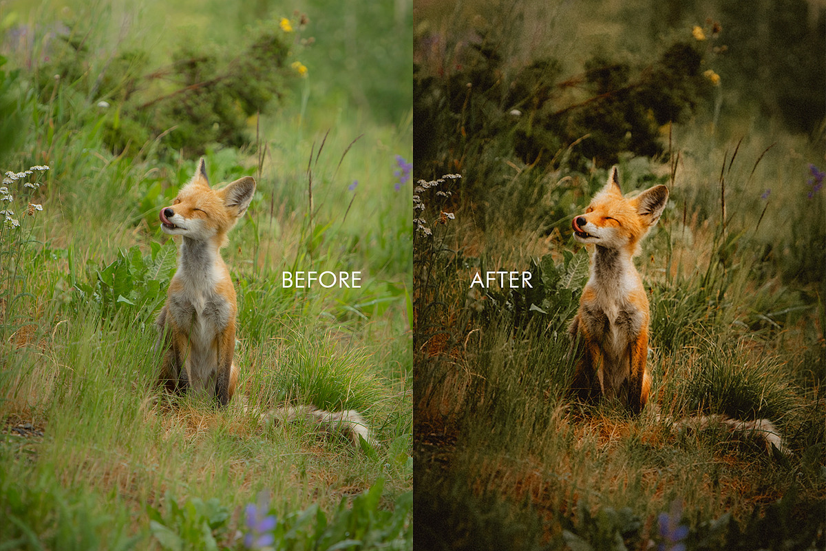 FOLKFILM - Lightroom Presets Pack, a Preset Add-On by URSAL Supply (Photo 5 of 7)