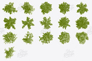 16 Bush Photoshop Brushes, a Brush Add-On by UnicDesign (Thumbnail 2 of 2)